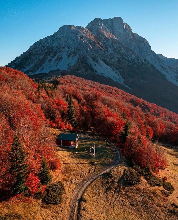 Mountain House Komovi-Radunovic Andrijevica Екстериор снимка