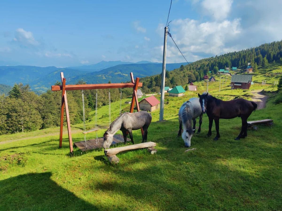 Mountain House Komovi-Radunovic Andrijevica Екстериор снимка