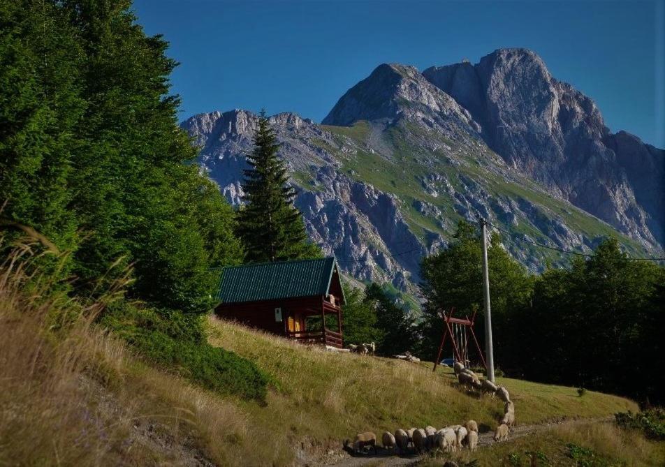 Mountain House Komovi-Radunovic Andrijevica Екстериор снимка
